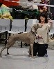  - Exposition Nationale Canine de Vesoul