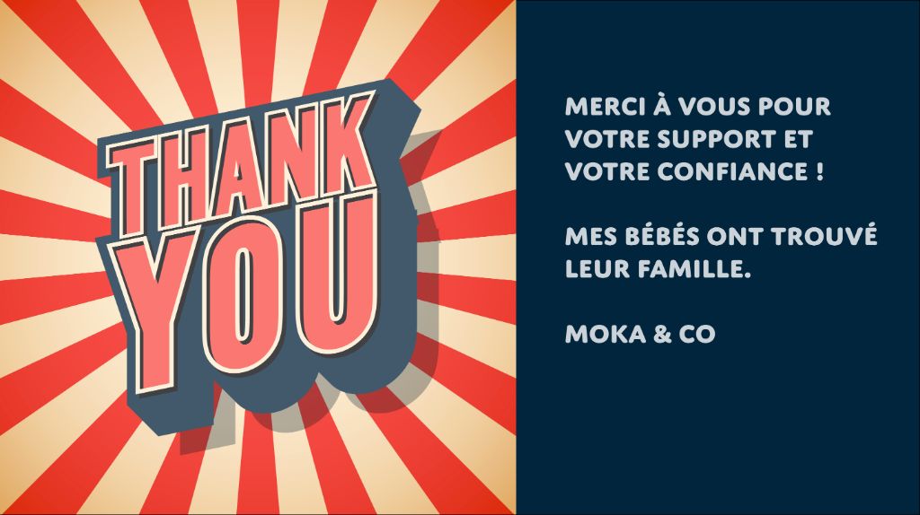 De L'Arbre Des Sephiroth - Merci pour tout !