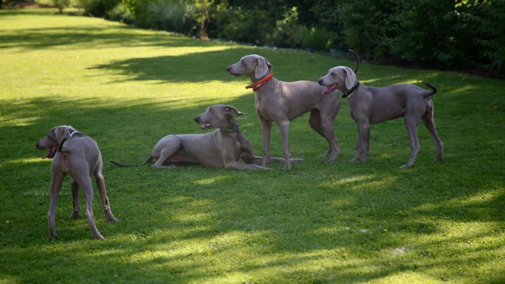 2019 - Week-end en famille
